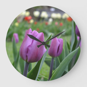 Lila Türschlupfuhr Große Wanduhr