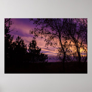 Lila Twilight Sky Tree Silhouette Poster