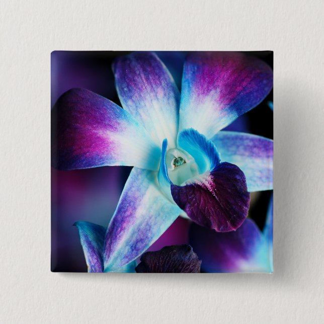 Lila u. blaue Dendrobium-Orchidee kundengebundene Button (Vorderseite)