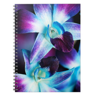 Lila u. blaue Dendrobium-Orchidee kundengebundene Notizblock