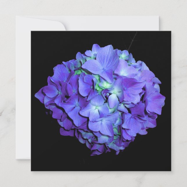 Lila und aquamarine Hydrangea, lila blaue Blumen Einladung (Vorderseite)