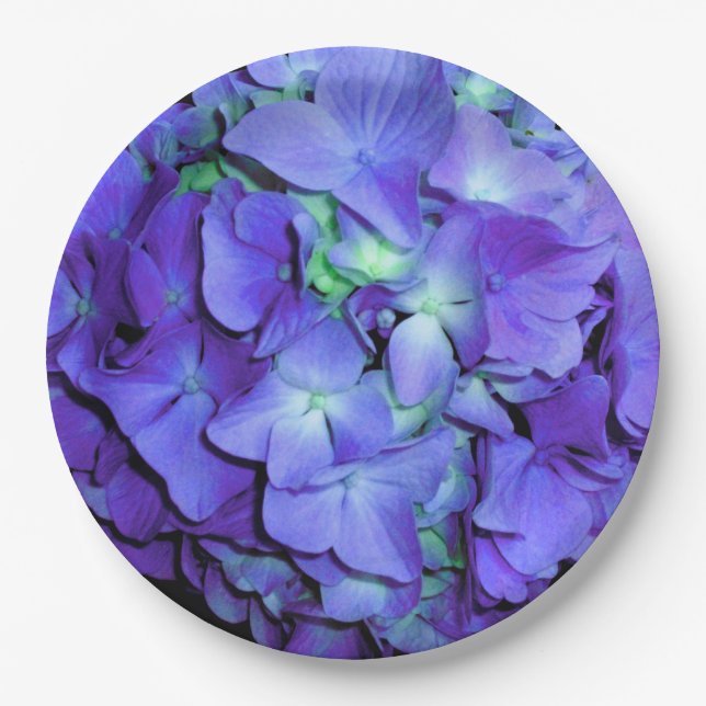 Lila und aquamarine Hydrangea, lila blaue Blumen Pappteller (Vorderseite)
