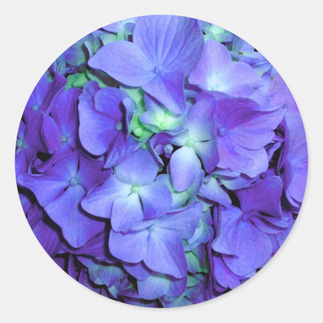 Lila und aquamarine Hydrangea, lila blaue Blumen Runder Aufkleber (Vorderseite)