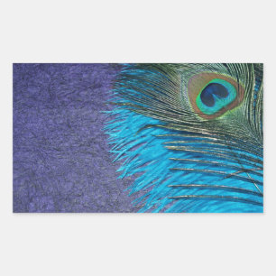 Lila und Aquamariner Pfau Rechteckiger Aufkleber