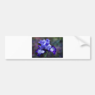Lila und blaue hohe Schwertlilie-Blüte Autoaufkleber