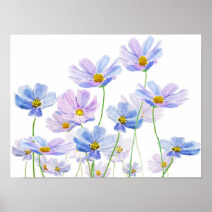 lila und blaue Kosmos-Blumen-Wasserfarbe Poster
