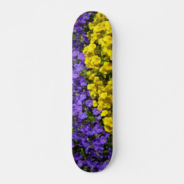Lila und gelb skateboard (Vorne)