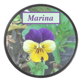 Lila- und Gelbblüte Eishockey Puck