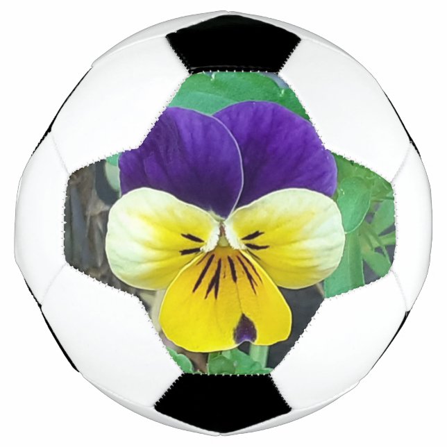 Lila- und Gelbblüte Fußball (Vorderseite)