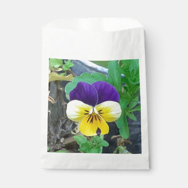 Lila- und Gelbblüte Geschenktütchen (Vorderseite)
