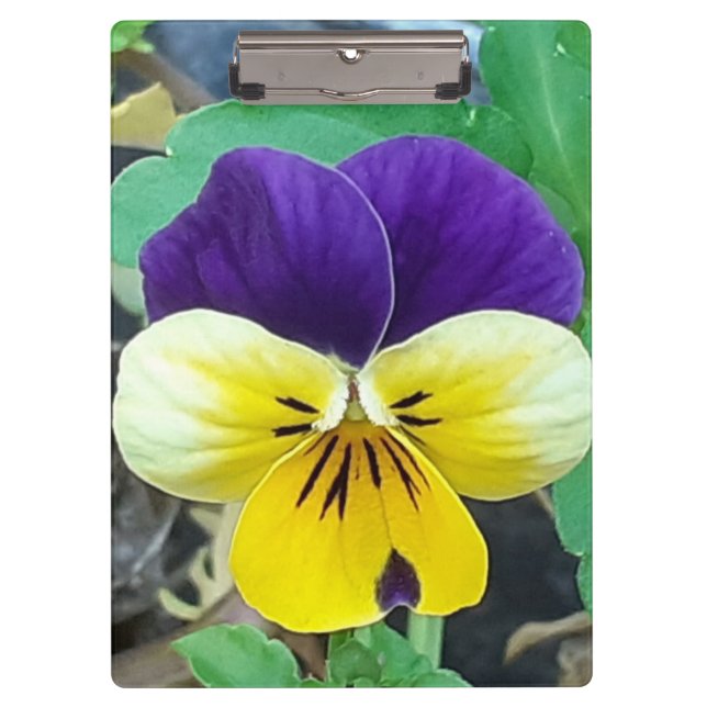 Lila- und Gelbblüte Klemmbrett (Vorderseite)