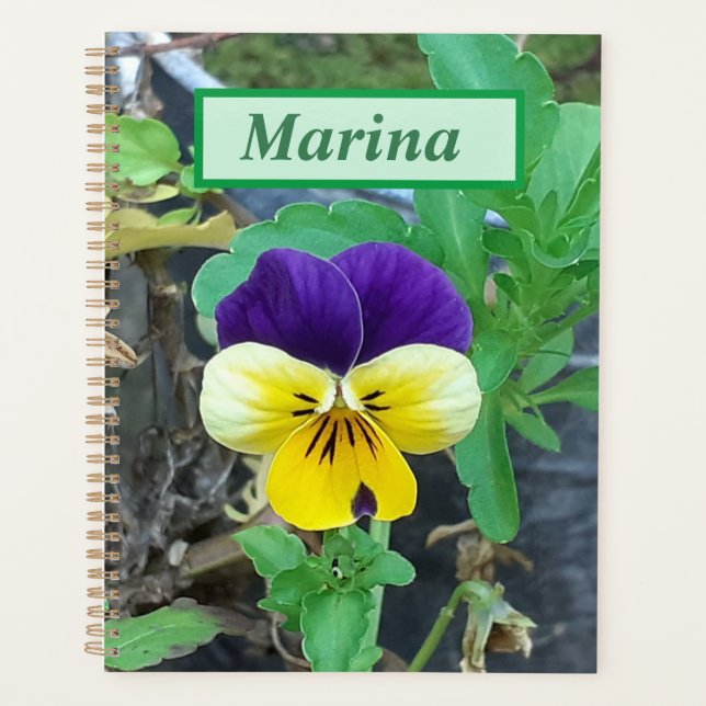 Lila- und Gelbblüte Planer (Vorderseite)