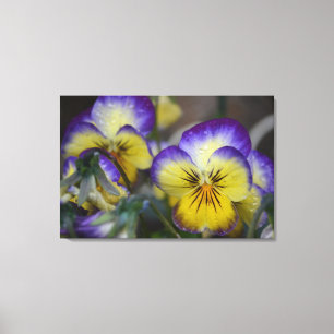 Lila und gelbe Blume Vierkanone Leinwanddruck