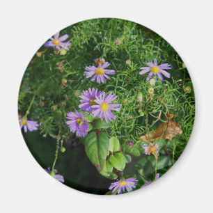Lila und gelbe Blumen Magnet