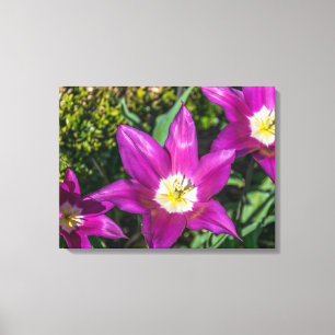 Lila und gelbe Blumen mit Blick auf Leinwand