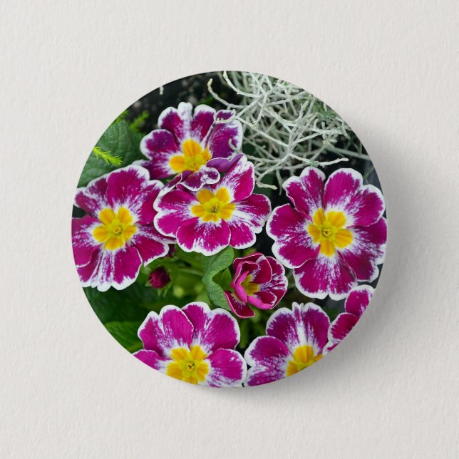Lila und gelbe Grunzen-Blume Button (Vorderseite)
