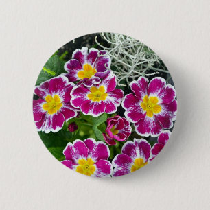 Lila und gelbe Grunzen-Blume Button
