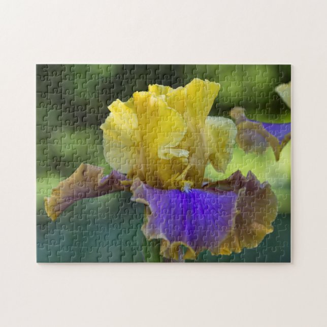 Lila und gelbe Iris-Puzzlespiel (Horizontal)