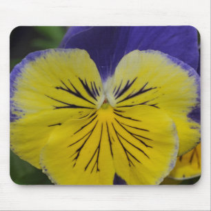 Lila und gelbe Pansy-Blume Mousepad