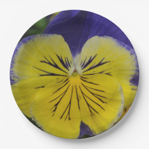Lila und gelbe Pansy-Blume Pappteller