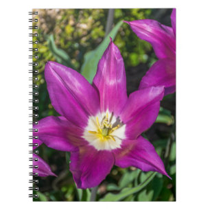 Lila und gelbes Blumennotizbuch Notizblock