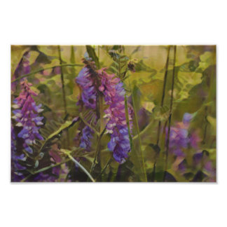 Lila und grüne arktische Lupine Fotodruck