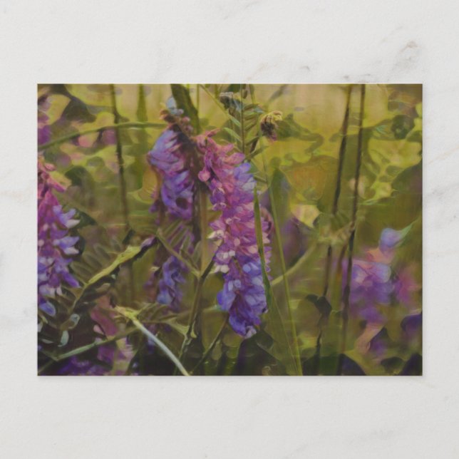 Lila und grüne arktische Lupine Postkarte (Vorderseite)