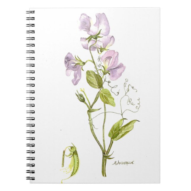 Lila und grüner Süßerbse Blume Watercolor Notizblock (Vorderseite)