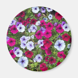 Lila und Lavendel-Blume: Magnet