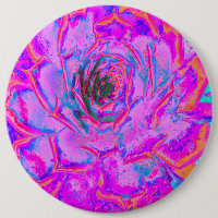 Lila und Magenta Succulent Sedum Rosette