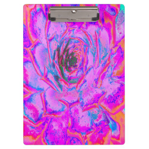Lila und Magenta Sukkulente Sedumrosette Klemmbrett