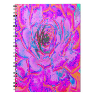 Lila und Magenta Sukkulente Sedumrosette Notizblock
