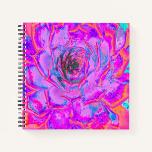 Lila und Magenta Sukkulente Sedumrosette Notizbuch