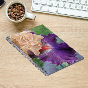 Lila und pfirsichfarbene Iris Bloral Notizblock