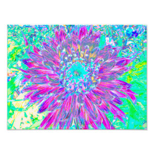 Lila und Robin's Egg Blue Decorative Dahlia Fotodruck