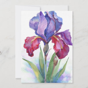 Lila und rote Iris Einladung