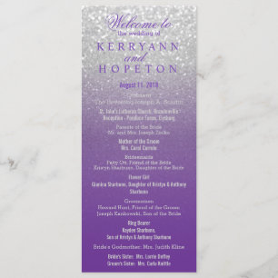 Lila und silbernes Glitzer-Programm Programm