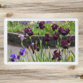 Lila und violette Iris Bloms Acryl Tablett