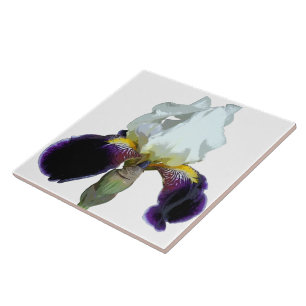 Lila und weiße Iris Keramikfliese