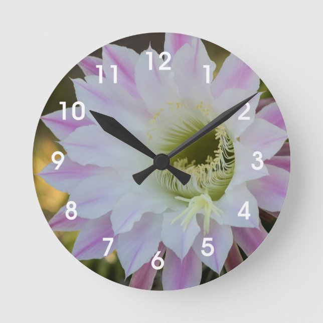 Lila und weiße Kaktus-Blume Runde Wanduhr (Vorderseite)