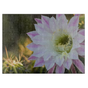 Lila und weiße Kaktusblüte  Schneidebrett
