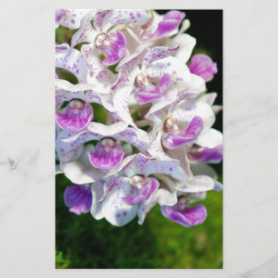 Lila und weiße Orchiale Briefpapier