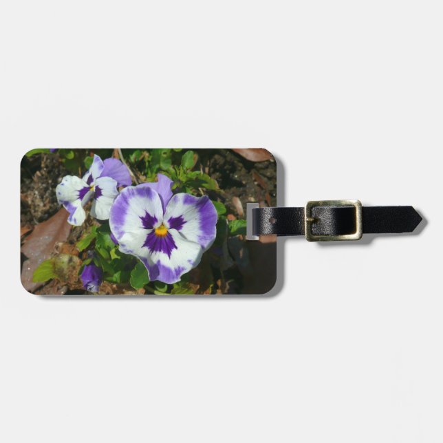 Lila und weiße Stiefmütterchen farbenfroh bläserne Gepäckanhänger (Vorderseite horizontal)