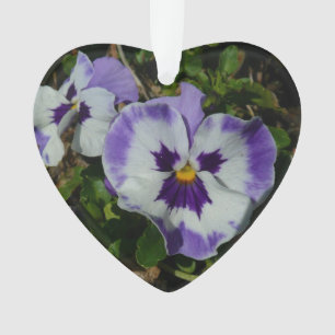 Lila und weiße Stiefmütterchen farbenfroh bläserne Ornament