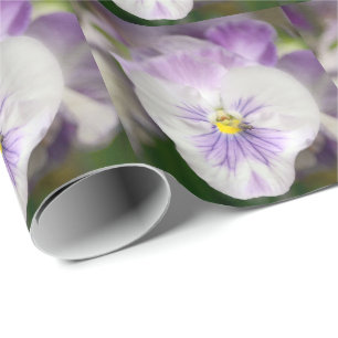 Lila und weiße Violas von Shirley Taylor Geschenkpapier