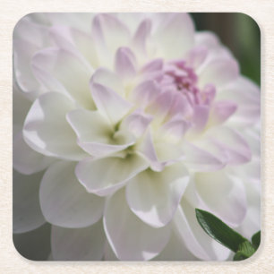Lila und weißer Dahlia-Untersetzer Rechteckiger Pappuntersetzer