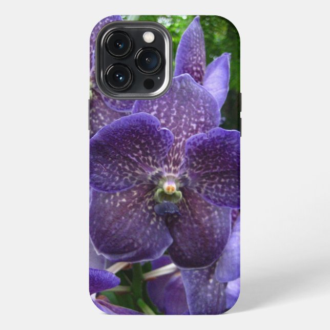 Lila Vanda iPhone 13 Pro Max Fall Hülle (Rückseite)