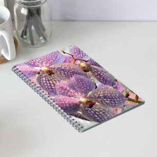 Lila Vanda-Orchideen Blumen Notizblock