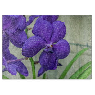 Lila Vanda-Orchideen Glas Schneidebrett
