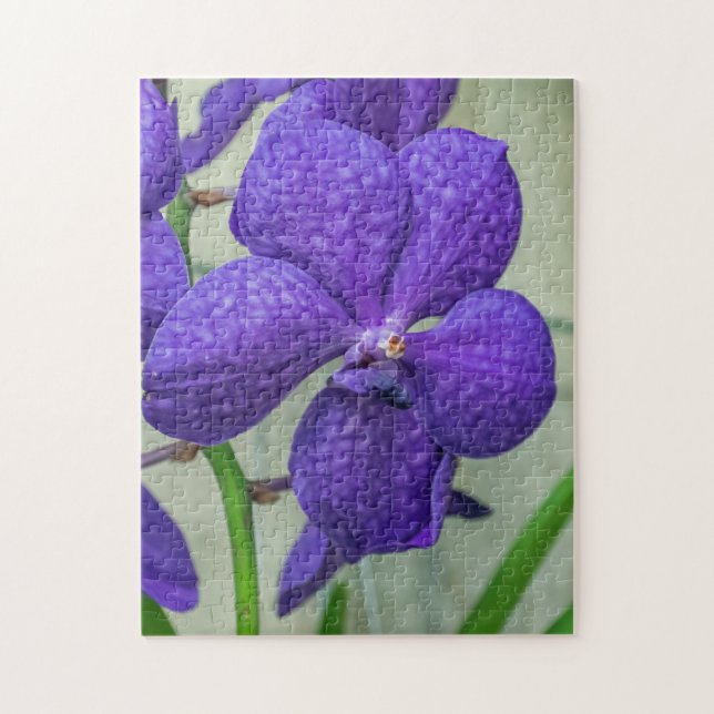 Lila Vanda-Orchideenpuzzle (Vertikal)